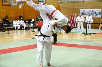 IMG_4353.JPG